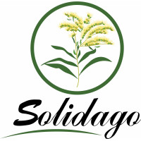 Solidago - Comércio Geral e Serviços, Lda